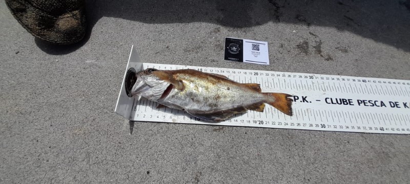 Fish Measure Picture